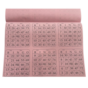 Bloco-De-Bingo-Sextuplo-Rosa-Quantidade:1-Unidade