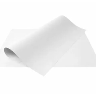 Cartolina-50x66-CM-Branca