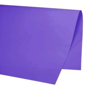Cartolina-Color-Set-48x66-CM-Roxo