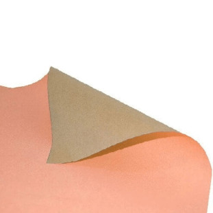 Papel-Cartao-48x66-CM-Salmao