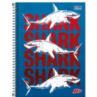 Caderno-Universitario-1-Materia-Mais-+-96fls