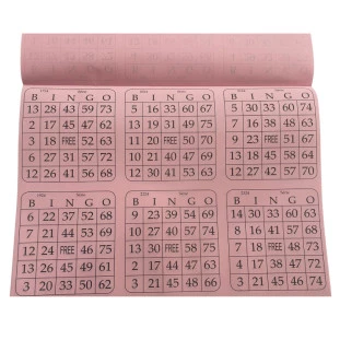 Bloco-De-Bingo-Sextuplo-Rosa-Quantidade:1-Unidade
