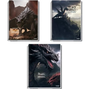 Caderno-Universitario-12-Materias-192-folhas-Aventura-com-Dragoes