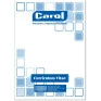 50-Folhas-Curriculum-Vitae-Carol