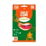 Lapis-de-Cor-36-cores-Sextavado---Leo-e-Leo