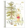 Caderno-Colegial-1-Materia-Pooh-80-Folhas
