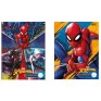 Caderno-Quadriculado-Spider-Man-10x10-40-Folhas-Brochura