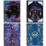 Caderno-Universitario-10-Materias-Mystic-160-FLs