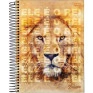 Caderno-Universitario-12-Materias-192-Folhas-Believe