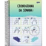 Caderno-Universitario-12-Materias-192-folhas-Flork