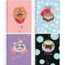 Caderno-Universitario-15-Materias-240-folhas-Pet-Holic