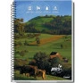Caderno-Universitario-1-Materia-Agro-80fls