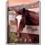 Caderno-Universitario-1-Materia-Agro-80fls