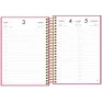 Agenda-Esp-2025-Napoli-Fem-M5