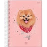 Caderno-Universitario-15-Materias-240-folhas-Pet-Holic