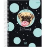 Caderno-Universitario-15-Materias-240-folhas-Pet-Holic