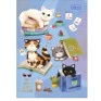 Caderno-Brochurao-Purffect-Cat-80-Fls-CD