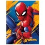 Caderno-Brocurao-Spider-Man-80Fls