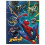 Caderno-Brocurao-Spider-Man-80Fls