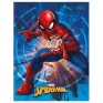 Caderno-Brocurao-Spider-Man-80Fls