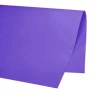 Cartolina-Color-Set-48x66-CM-Roxo