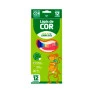 Lapis-De-Cor-12-Cores-Leo&Leo-Resina-Sextavado-Flex-Ecologico