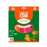 Lapis-De-Cor-Leo&Leo-48-Cores-Sextavado-Resina
