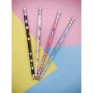 Lapis-Preto-N2-Panda-C/-Borracha