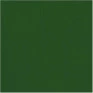 TNT-Verde-Bandeira